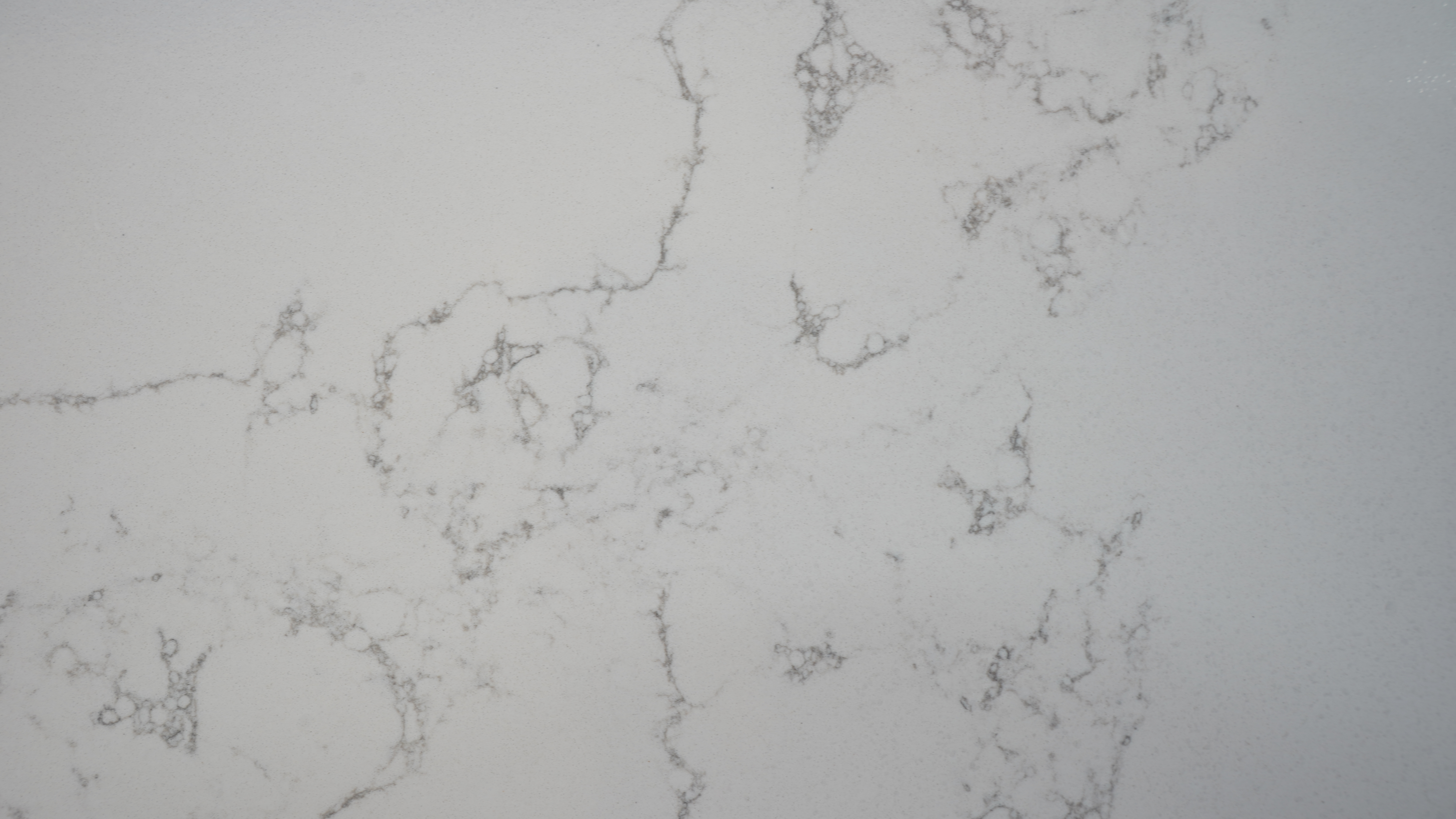 Calacatta Denebola Black