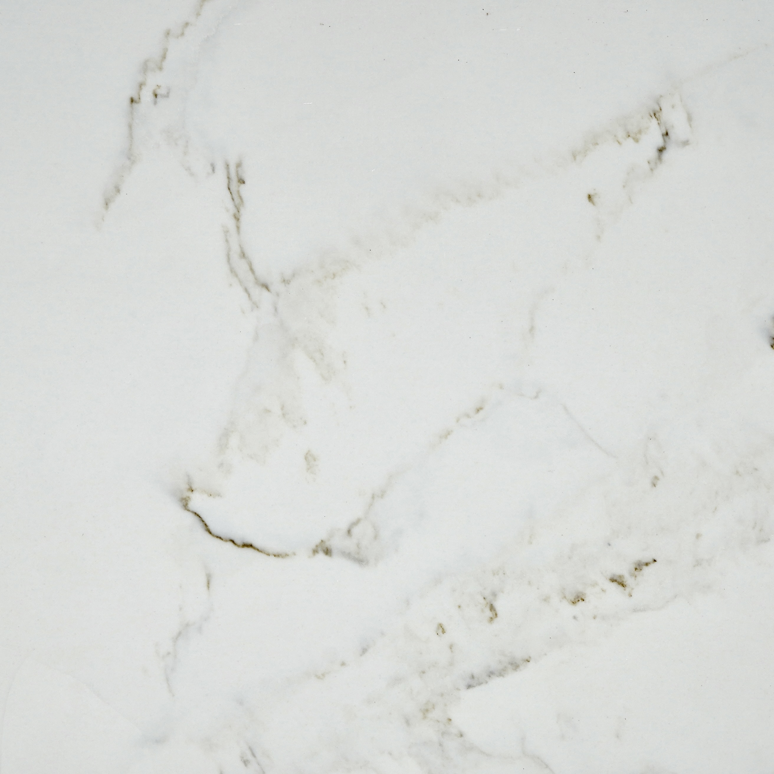 Calacatta Stratus Gold